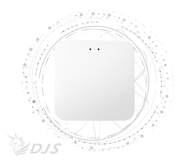 T2 Network gateway