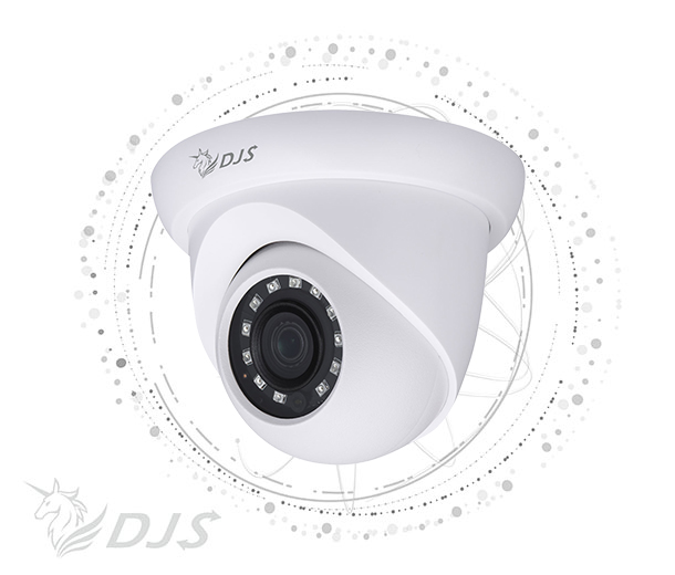  2 million infrared dome webcam