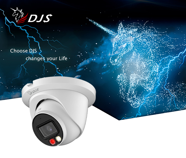 Smart Dual Light IP Camera