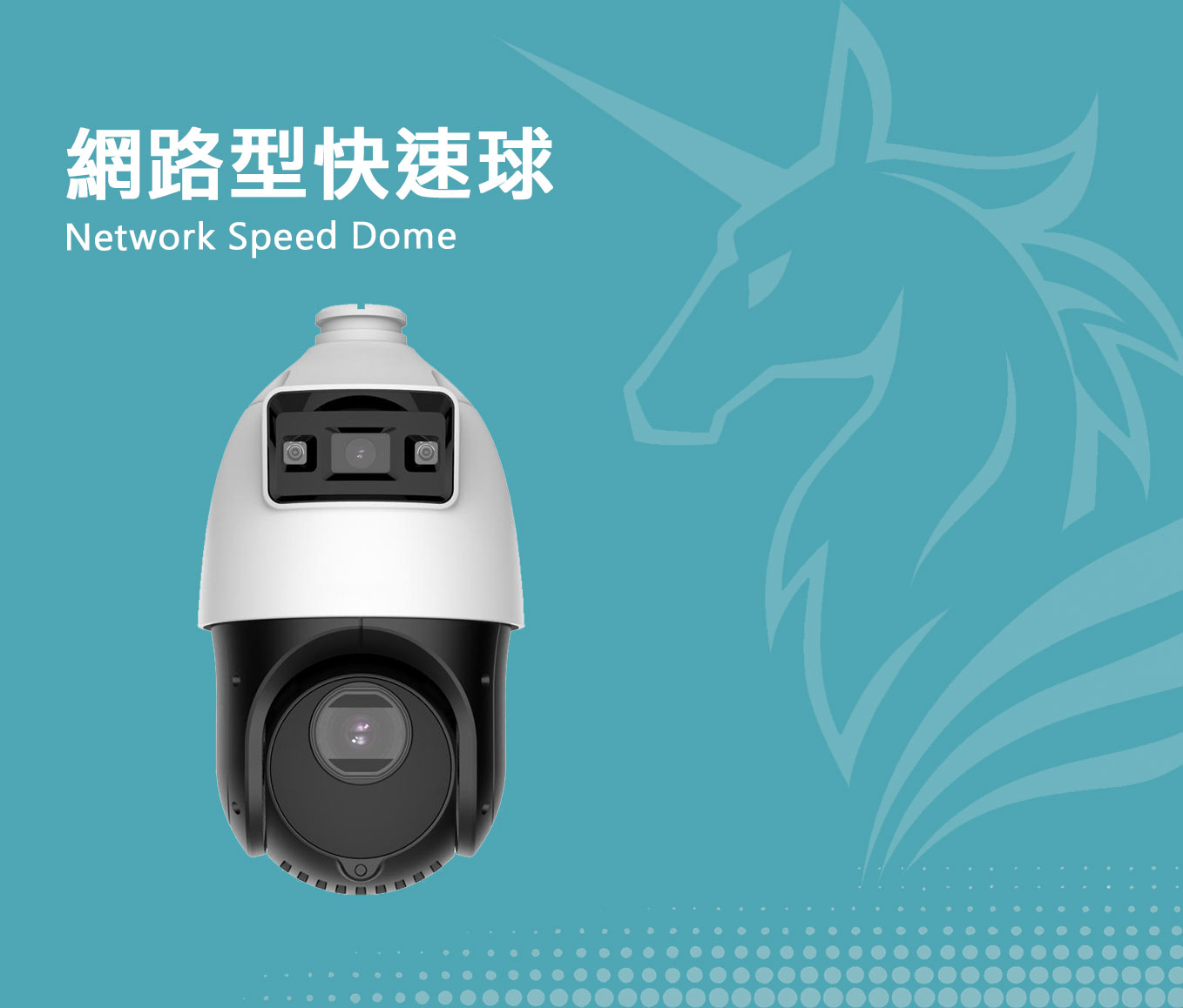  IP網路快速球
